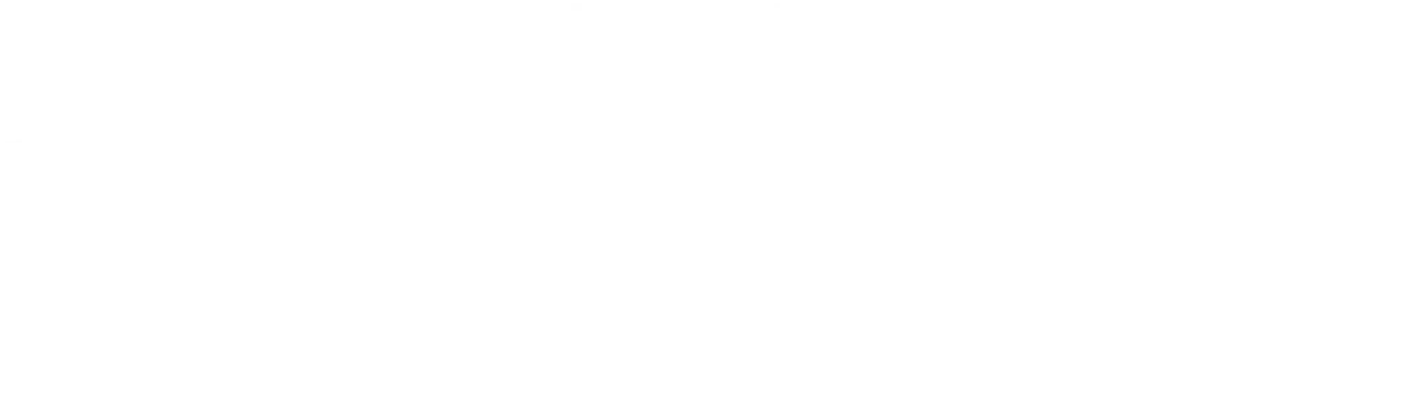 Shine Craft Auto Spa